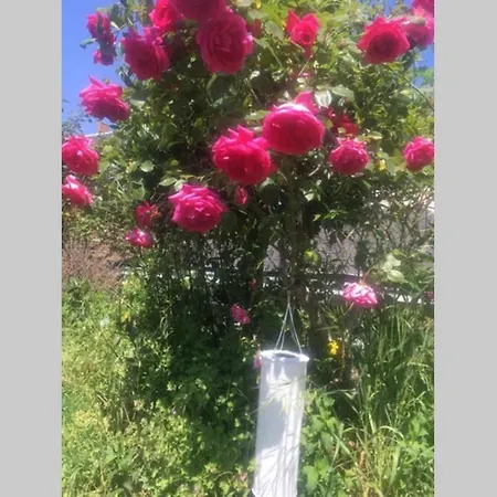 Abbey Road Maison 6 12 Personnes Dom wakacyjny *